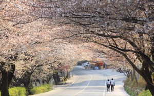 KTO tổ chức cuộc thi ảnh đẹp ‘Relive Your Korea Trip’