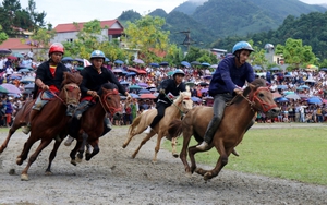 Giải đua ngựa Bắc Hà lễ hội văn hóa đặc sắc vùng Tây Bắc