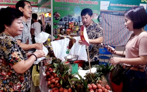 Giới thiệu vải thiều Lục Ngạn Bắc Giang tại Hà Nội