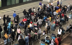 Đưa công dân Việt Nam từ Nhật Bản về nước