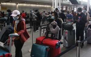 Bệnh nhân Covid-19 ca 329 là du học sinh từ Anh về, đã được cách ly