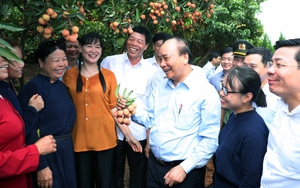 Thủ tướng Nguyễn Xuân Phúc thăm 'Vườn quả Bác Hồ' ở Bắc Giang