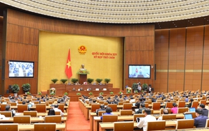 Kỳ họp thứ 9, Quốc hội khóa XIV: Biểu quyết Nghị quyết phê chuẩn Hiệp định EVFTA