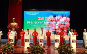 Bắc Giang trực tuyến xúc tiến tiêu thụ vải thiều trong và ngoài nước