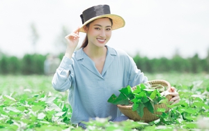 Hoa hậu Lương Thuỳ Linh thử sức làm MC truyền hình