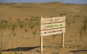 Sa mạc hóa - thách thức môi trường nghiêm trọng toàn cầu