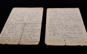 Đấu giá bức thư viết tay của danh họa Vincent Van Gogh và Paul Gauguin về 'giấc mơ phục hưng'