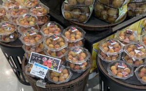 Vải thiều Bắc Giang được đón nhận tích cực tại thị trường Nhật Bản