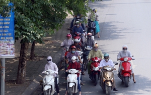 Thư gửi robot Citizen: 'Những con đường trải dài bóng mát…'