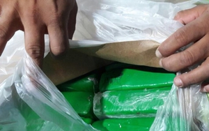 LHQ cảnh báo sự bùng phát trong hoạt động sản xuất ma túy ở Nam Mỹ