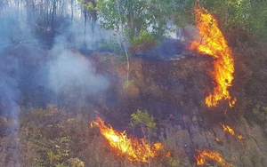 Cháy rừng tại Hà Tĩnh có thể là do người dân đốt hương