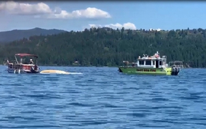 Mỹ: Hai máy bay đâm nhau và rơi xuống hồ gây thương vong