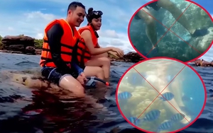 Góc nhìn 365: 'Ngồi lên san hô'