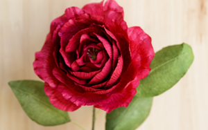 Truyện cười: Bông hồng giấy