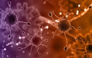 Nghiên cứu thành công hoạt chất kháng ung thư hiệu quả cao