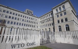 Cuộc đua trở thành tân Tổng Giám đốc của WTO bước vào 'vòng chung kết'