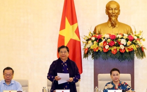 Hoạt động nghệ thuật biểu diễn 'nhiều trái ngọt nhưng không thiếu trái đắng'