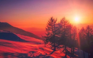 Chữ và nghĩa: 'Cha chết không lo bằng đỏ lò Tây Bắc'