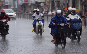 Chữ và nghĩa: Cơn đằng Đông vừa trông vừa chạy...