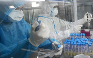 Ghi nhận thêm 3 ca mắc mới Covid-19 tại Quảng Nam và Bạc Liêu