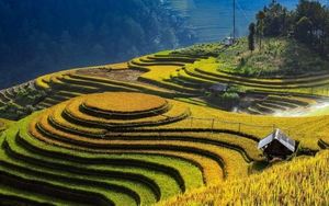 Lễ hội khám phá danh lam thắng cảnh Ruộng bậc thang Mù Cang Chải từ ngày 29/8-18/10