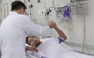 Góc nhìn 365: Tình cha