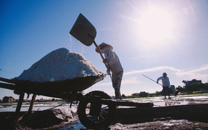 Sống chậm cuối tuần: Câu chuyện về hạt muối