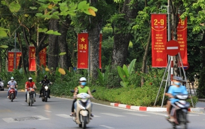 Ngày Quốc khánh, Tết Độc lập trong mùa dịch