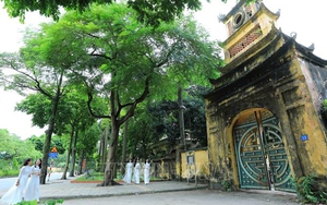 Hà Nội: Nhất thể hóa quản lý để bảo tồn di sản Hoàng thành Thăng Long