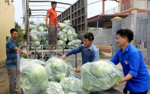 Đến lượt Thái Bình kêu gọi 'giải cứu' nông sản