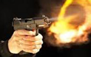 Mỹ bắt một đối tượng có vũ khí gần dinh thự của Phó Tổng thống