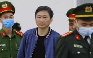 Chủ mới biệt thự Trịnh Xuân Thanh kháng cáo, đề nghị trả lại đất