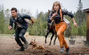 Phim 'Chaos Walking': Đưa khán giả đến một hành tinh độc đáo