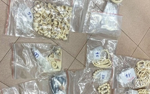 Khởi tố đối tượng buôn bán trang sức làm từ ngà voi