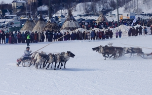 Đua hươu kéo xe trượt tuyết - môn thể thao độc đáo của nước Nga