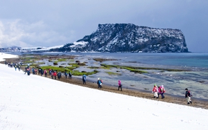 KTO Việt Nam tổ chức giải chạy ảo chinh phục mùa Xuân Jeju