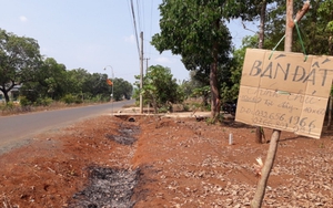 Chấn chỉnh tình trạng 'sốt ảo' về giá đất