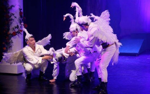 Sắp công diễn vở nhac kịch 'Bầy chim thiên nga'