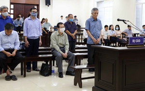 Xét xử Vũ Huy Hoàng và đồng phạm: Các bị cáo đồng phạm thực hiện hành vi phạm tội