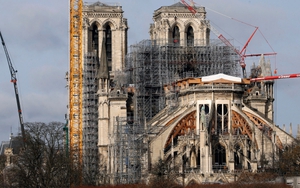 Tái thiết Nhà thờ Đức Bà Paris: Đổ bê tông hay đốn 2.000 cây sồi?