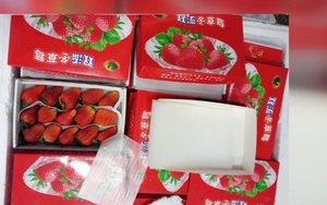 Dâu tây Trung Quốc đội lốt Đà Lạt