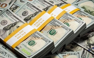 Phạt tù tài xế trộm cắp 40.000 USD trong xe ô tô