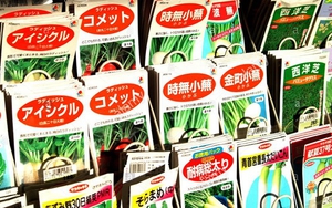 Nhật Bản cấm mang ra nước ngoài hạt giống cây trồng, cây giống