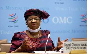 WTO kêu gọi đạt thỏa thuận quốc tế về tiếp cận công bằng vaccine Covid-19