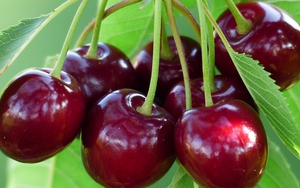 Truyện cười: Quả anh đào 'có chân'