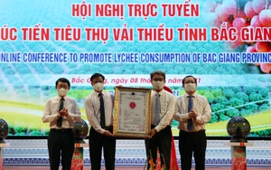 Bắc Giang: Hội nghị trực tuyến tiêu thụ vải thiều với 30 điểm cầu trong nước và quốc tế