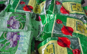 Mở rộng điều tra tổ chức tội phạm ma túy đặc biệt nguy hiểm do các đối tượng Đài Loan điều hành