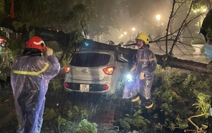 Hà Nội khẩn trương thu dọn cây xanh bị gãy, đổ sau trận mưa lớn