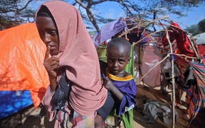 LHQ dự báo viễn cảnh thế giới chật vật trong đói kém, hạn hán và dịch bệnh