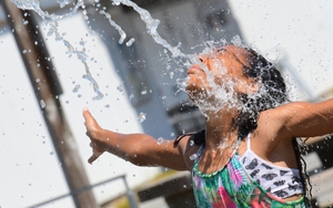 Hàng trăm người tử vong vì nắng nóng khắc nghiệt ở Mỹ và Canada